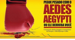 Combata o mosquito Aedes Aegypti
