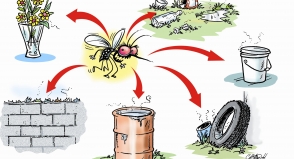 “Chikungunya é pior do que se imagina”, diz Luiz de Abreu
