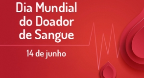 Jovens entre 18 e 29 anos são os maiores doadores de sangue no país