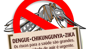Dengue mata: saiba o que fazer para combater o mosquito Aedes Aegypti