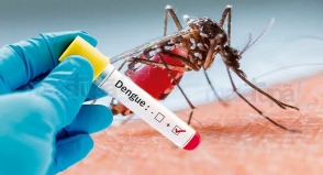 Diagnosticado o quarto caso de morte por dengue em Sergipe