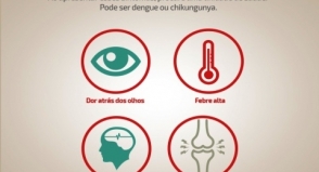 Mesmo no inverno, não dê mole para a dengue